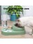 Yeşil Stil Kedi Kase Tiryakisi 16 Derece Eğik Koruma Boynu Paslanmaz Çelik Pet Besleyici Kediler Mama Dispenseri Kedi Suluk Köpekler Su Kasesi (Yurt Dışından) 2