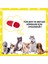 Kalp Desenli Mama Saklamalı Peluş Terlik Sesli Köpek Oyuncağı Interaktif Köpek Zeka Oyuncağı 6