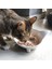 Kırmızı Stil Kedi Mama Kasesi Kaymaz Köpek Tabağı Evcil Hayvan Mama Kasesi Sığ Kedi Su Kasesi Geniş Kedi Mama Kasesi Sakal Yorgunluğunu Rahatlatmak Evcil Hayvan Malzemeleri (Yurt Dışından) 4