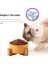 Yeşil Stil 400ML Seramik Pet Kase Kedi Yavrusu Besleme Malzemeleri Çift Pet Kaseler Köpek Maması Su Besleyici Köpek Aksesuarları Dayanıklı Çoklu Renk Seçeneği (Yurt Dışından) 5