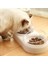 Gri Stil 500ML Pet Kedi Kase Otomatik Besleyici Köpek Kedi Maması Kase Su Çeşmesi ile Kedi Kase Için Çift Kase (Yurt Dışından) 4