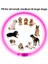 Yeşil Stil LED USB Köpek Tasması Pet Köpek Gece Aydınlık Şarj Yaka LED Gece Güvenlik Yanıp Sönen Kızdırma Köpek Kaybı Önleme Yaka Pet Aksesuar (Yurt Dışından) 5