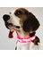 Yeşil Stil S Beden LED Köpek Tasması Köpek Güvenliği Gece Lambası Yanıp Sönen Kolye Kamuflaj Baskı Köpek Tasması (Yurt Dışından) 3