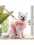 No.4 Stili S Beden Dantel Trim Yaka Küçük Köpek Yelek Koşum ve Tasma Seti Yumuşak Örgü Yastıklı Ayarlanabilir Köpek Yaz Giysileri (Yurt Dışından) 3