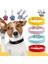 Siyah Stil Xl Boyutu Evcil Hayvan Malzemeleri Köpek Tasması Alaşım Toka Köpek Zinciri Kedi Kolye Boyutu Ayarlanabilir Küçük ve Orta Boy Köpek Tasmaları Köpek Malzemeleri (Yurt Dışından) 2