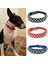 Beyaz Stil M Boyutu Perçinler Pu Deri Evcil Hayvan Tasmaları Orta Lagre Köpekler Için Bull Terrier Çivili Köpek Tasması Yürüyüş Için Mascotas Accesorios Para Perros (Yurt Dışından) 2