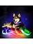E Tarzı Xl Boyutu USB Şarj Edilebilir LED Köpek Tasması Anti-Lostavoid Araba Kazası Yaka Köpekler Için Yavru Köpek Tasmaları LED Malzemeleri Evcil Hayvan Ürünleri Açar (Yurt Dışından) 3