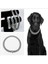 Gümüş Tarzı 50CM Lüks Tasarımcı H Harfi Kedi Köpek Tasmaları Bling Diamondd Küba Zincir Köpek Kolye Altın Renk Pet Takı Aksesuarları Ayarlanabilir (Yurt Dışından) 2