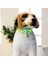 F Tarzı Çan ile Pet Parlayan Yaka Geceleri Glow Köpekler Kediler Kolye Işık Aydınlık Boyun Halkası Aksesuarları Silika Jel Köpek Tasması (Yurt Dışından) 5