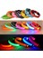 Pil-Rd Tarzı 35-43 cm USB Şarj Edilebilir Veya Pil Pet Köpek Pet Kedi LED Parlayan Yaka Aydınlık Yanıp Sönen Kolye Açık Yürüyüş Gece Güvenlik Malzemeleri (Yurt Dışından) 4