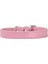 Pembe Tarzı 1.5X30CM Alaşım Toka Deri Köpek Tasması Kedi Yaka Boyutu Ayarlanabilir Küçük ve Orta Köpek Yavru Yaka Köpek Malzemeleri (Yurt Dışından) 1