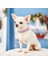 Turuncu Tarzı Xs Boyutu Yapay Elmas Köpek Tasması Yumuşak Süet Deri Köpek Kedi Tasması Kristal Elmas Köpüklü Pet Köpek Yavrusu Yaka Chihuahua Yorkshire Için (Yurt Dışından) 5