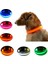 Mavi Stil M Boyutu LED Pet Aydınlık Yaka Gece Güvenlik Yanıp Sönen Köpek Tasması Ayarlanabilir Köpek Tasması Küçük Köpek Kedi Için Parlayan Köpek Tasması Yaka Perro (Yurt Dışından) 2