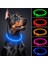 Sarı Stil 50CM USB Şarj Aydınlık Köpek Tasması LED Gece Parlayan Pil Köpek Kaybı Önleme Köpek Aksesuarları Malzemeleri Evcil Hayvanlar Için Makaleler (Yurt Dışından) 2