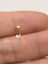 Cerrahi Çelik Piercing Küpe Zirkon Taşlı ve Toplu Halka Model 2