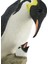 Wıse Kral Penguen BİBLO-WU74918VA 4