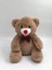 Rocky Bear Peluş Oyuncak 25 cm 1