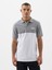 Erkek Gri Gap Logo Colorblock Pique Polo Yaka T-Shirt 1