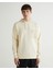 Erkek Krem Regular Fit Kapüşonlu Logolu Sweatshirt 2524129T.130 1