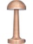 CT-8430 Lizbon Şarjlı Masa Lambası 1