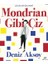 Mondrian Gibi Çiz - Deniz Aksoy 1