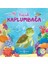 Küçük Kaplumbağa - Wednesday Jones 1