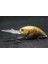 HC733X411 Tarzı Wlure Balıkçılık Lures 11G 8.5 cm Derin Su Wobbler Gerçek Cilt Boyama Sıkı Yüzen Crankbait Kesme Bıçağı Tiz Kanca HC733 (Yurt Dışından) 1