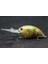 HC733X463 Stili Wlure Balıkçılık Lures 11G 8.5 cm Derin Su Wobbler Gerçek Cilt Boyama Sıkı Yüzen Crankbait Kesme Bıçağı Tiz Kanca HC733 (Yurt Dışından) 1