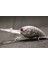 HC733X459 Tarzı Wlure Balıkçılık Lures 11G 8.5 cm Derin Su Wobbler Gerçek Cilt Boyama Sıkı Yüzen Crankbait Kesme Bıçağı Tiz Kanca HC733 (Yurt Dışından) 1