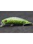M219X77 Stili Wlure Jerkbait Minnow Crankbait 8g 7 cm Balıkçılık Cazibesi Sert Yem Sazan Balıkçılık Tatlı Su Böcek Yem Sahte Cazibesi Balıkçılık M219 (Yurt Dışından) 1