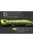 T683X80 Stili Wlure Balıkçılık Cazibesi Topwater Popper 8 cm 12G Crankbait Sazan Sinek Tatlı Su Deniz Böcek Yem Sahte Cazibesi Buz Cazibesi Balıkçılık T683 (Yurt Dışından) 3