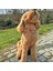 Jesspecial Mor Ip Kedi Köpek Kolyesi Charm Uçlu Gümüş Rengi 2