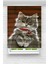 Çocuk Odası - Sevimli Kedi Baskılı Zebra PERDE04 1