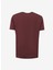 Bisiklet Yaka Bordo Erkek T-Shirt L241582810 Bisiklet Yaka T-Shirt 2