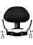 Honda Forza 250 2023 - 2024 Uyumlu Sissy Bar 1