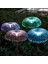 Jellyfish Solar Garden Lights Güneş Enerjili Bahçe Aydınlatması Denizanası Görünüm 5