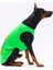 Green Travel Orta-Büyük Irk Köpek T-Shirtü 4