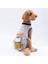 Grey Travel Orta-Büyük Irk Köpek T-Shirtü 1