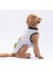 Grey Travel Orta-Büyük Irk Köpek T-Shirtü 4
