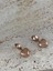 Rose Gold Kalp Çelik Küpe 4