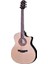 Akustik Gitar STG G-27CE 1