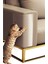 Kedi Koltuk Tırmalama Mobilya Tırmalama Önleyici Bandı Şeffaf Yapışkanlı 22x50 Cm 8
