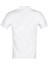 Ml Antler-B 11D5055 3Fx Erkek Tshirt 2
