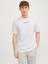 Jcostagger Tee Ss Crew Erkek T-Shirt 1