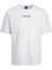 Jcostagger Tee Ss Crew Erkek T-Shirt 3