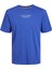 Jprbluarchıe Ss Tee Crew Erkek T-Shirt 1