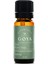 Hayıt Uçucu Yağı - 10 ml - %100 Saf ve Doğal 1