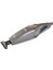 Kablolu Fantom DC1000 Carbon 500 W Dik Süpürge 0 - 30 Dk 2-5 M 3 Yıl Dc Harici Park Istasyonu 500-1 3