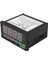 Dijital Sensör Ölçer Çok Fonksiyonlu Akıllı LED Ekran 0-75MV/4-20MA/0-10V 2 Röle Alarm Çıkışı Da8- (Yurt Dışından) 4