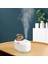 300 ml Mini Hava Nemlendirici USB Aromaterapi Aroma Esansiyel Yağı Difüzör Serin Mist Maker LED Gece Lambası-Beyaz (Yurt Dışından) 3